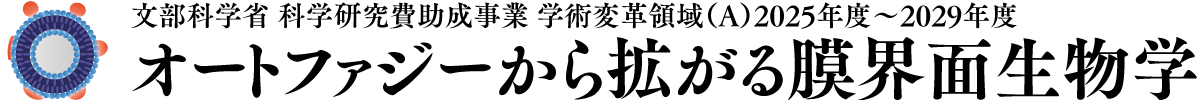 オートファジーから拡がる膜界面生物学